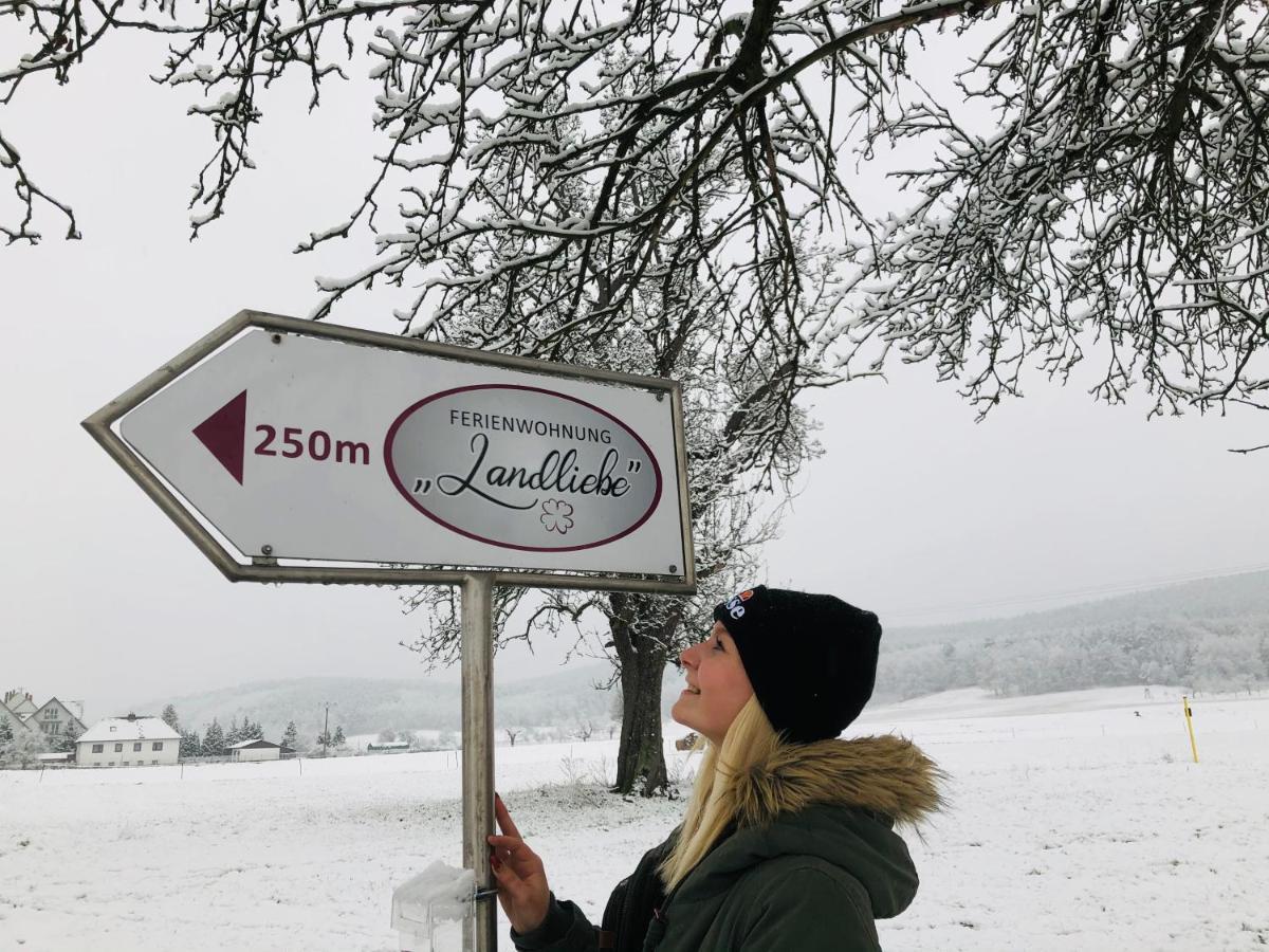 Ferienwohnung Landliebe ルドルシュタット エクステリア 写真