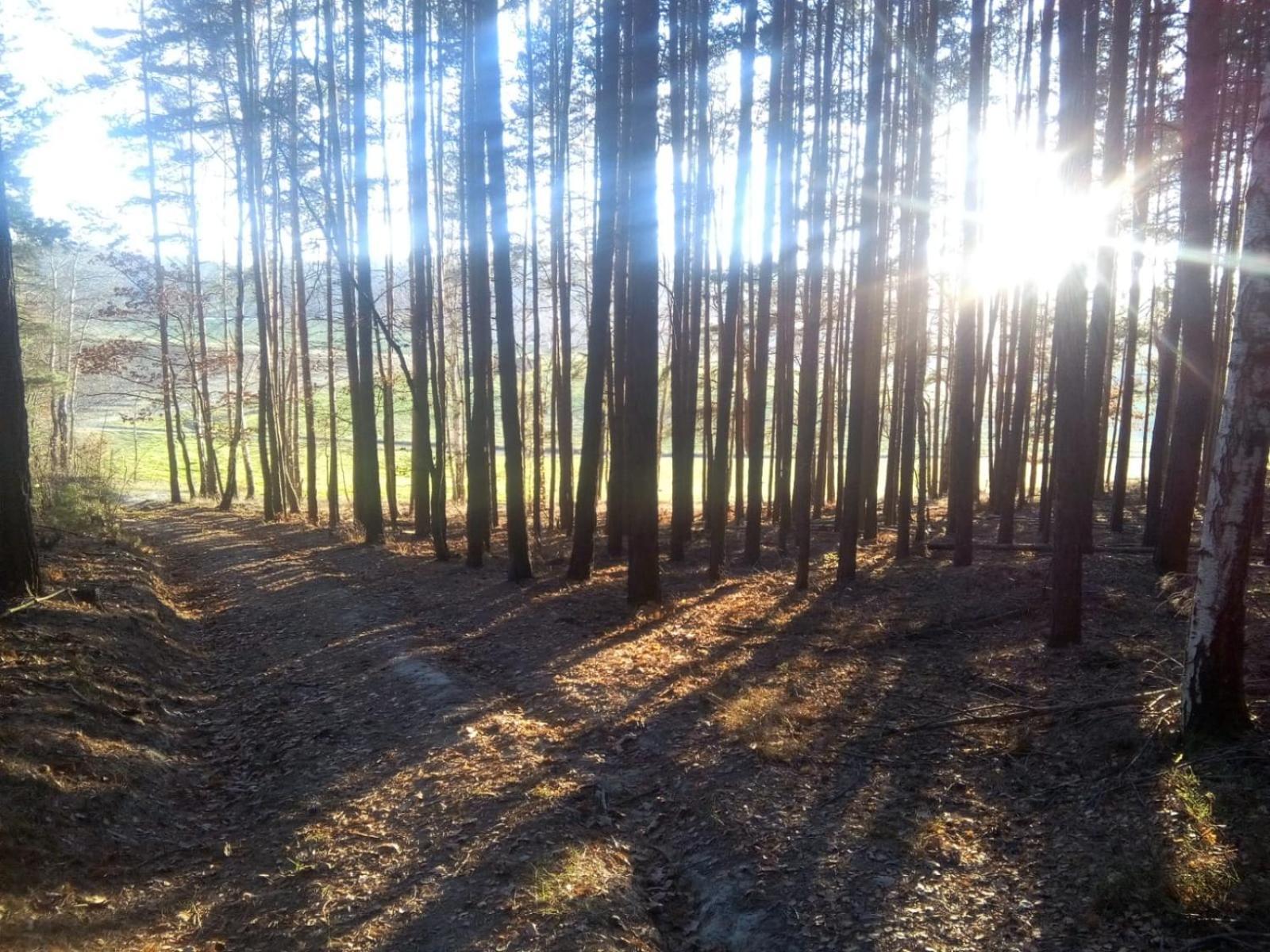 Ferienwohnung Landliebe ルドルシュタット エクステリア 写真